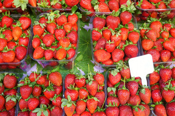 tasty strawberry in the market