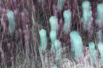 Spring blurred flowers. Abstract motion blur effect