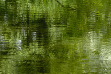 Texture  water green  сolour , rippled water . Background  abstract.