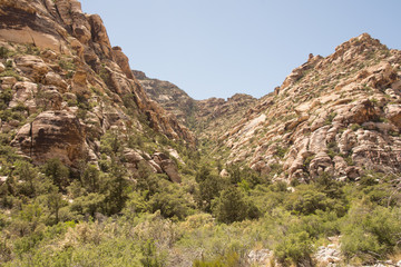 Red Rock Conservation Area Las Vegas Nevada