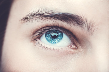 Close up image of insightful look blue human eye.