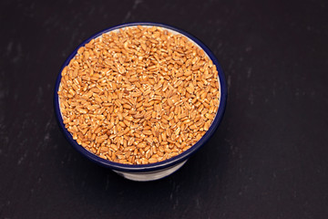 uncooked spelt in white bowl