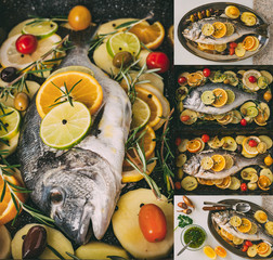 Sea gilt-head bream fish on ice, baking sheet, baking tray with rosemary, lemon, orange, tomato, hot peppers and lime. Fresh Orata, Dorade fish on kitchen table.Collage of set photos.