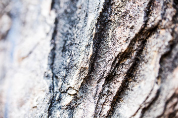 Close up of natural stone wall. Stone wall texture 
