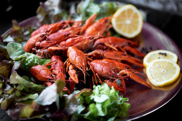 Fototapeta na wymiar A lobster on a big Golden platter. Scatter the lemon and the Bay leaf. Restaurant food. A lobster on a silver metal plate with lemon.Restaurant food. With ice