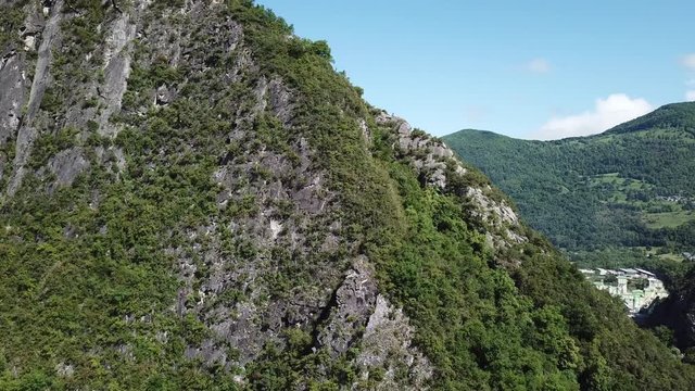 Vultures in the mountains. Vautours en montagne