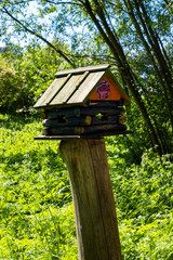 feeder for squirrels