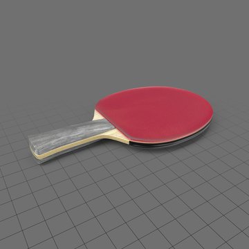Ping pong paddle