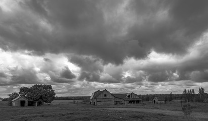 Black and white landscapes