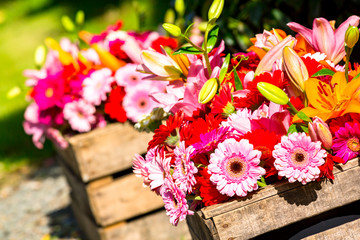 Two wooden flower boxes containing gerberas