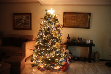 Christmas in the living room