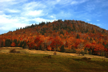 Spectacular Hillside Colours