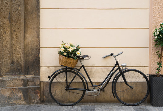 Old bicycle with flowers in metal basket