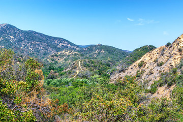 Fototapeta premium Summer hiking trails covered in high brush on warm sunny day