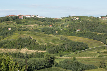 sunny day in goriška brda