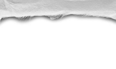 Fototapeta na wymiar paper tear isolated on white background, copy space.