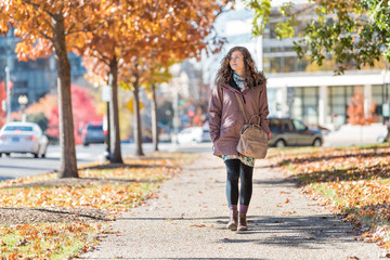 Young happy woman on sidewalk street walking in Washington DC, USA United States in alley of golden orange yellow foliage autumn fall trees on road during sunny day - Powered by Adobe