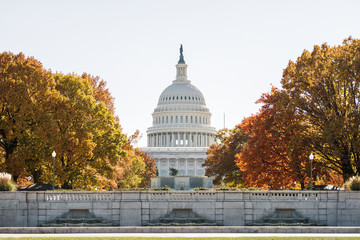 View of United States Congress Capitol building framed by alley of golden orange yellow foliage...