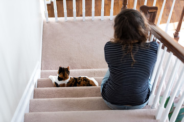 Calico white and ginger cat sitting on carpet stairs inside indoor home hallway lying down by young...