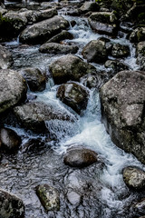 abstract landscape with waterfall, forest river and trees