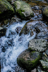 abstract landscape with waterfall, forest river and trees
