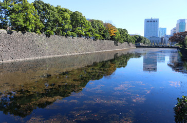Fototapeta premium 皇居の外濠と石垣