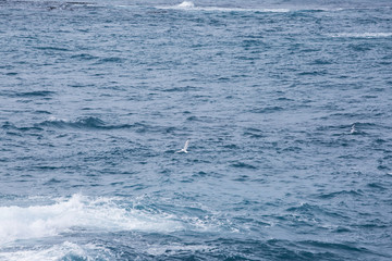 Abstract Blue Ocean Waves Background