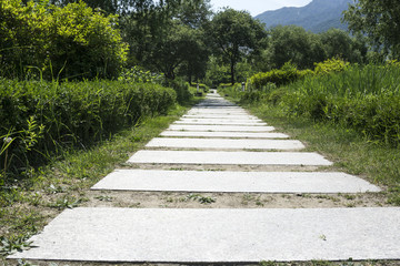Stone walkway with grass through flower field