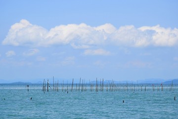 Obraz premium The view of the bright sky and the sea, the wood embroidered in the sea for use in raising the shell at south of Thailand