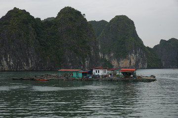 Floating Village in Halong Bay