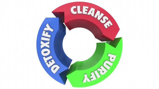 Cleanse Purify Detoxify Cycle Process Words 3d Render Animation