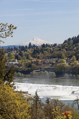 Willamette Falls and Mt. Hood