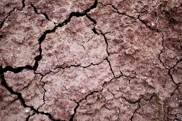 cracked earth texture