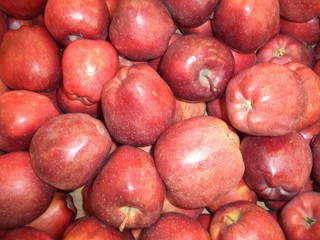 red ripe apples