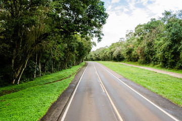 road in the forest