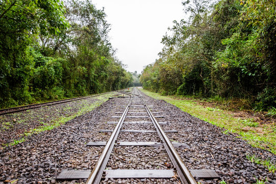 railroad tracks in the forest