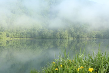 長野県　大町市　霧の中綱湖