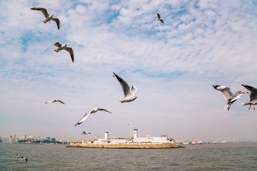 Sea and seagulls in Mumbai, India