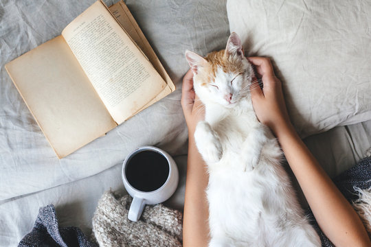 Hygge concept with cat, book and coffee in the bed