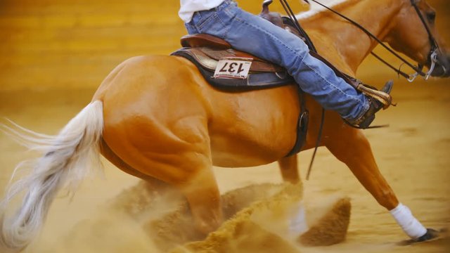Horse sliding stop from side view slow motion 4K. Long shot side view tracking of horse in focus slide stop. Only riders legs in frame. Riding competition.