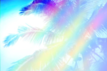 coconut tree  with pastel color  abstract summer nature background