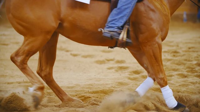 Horse spin like crazy in slow motion long shot 4K. Long shot of horse legs in focus spinning while sand flying all around. Riders sitting on the horse.