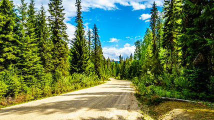 Fototapeta premium View of the Clearwater Valley Road that runs along the Clearwater River, in Wells Gray Provincial Park in the Cariboo Mountains of British Columbia, Canada