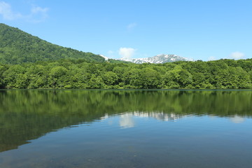 Fototapeta na wymiar 新潟県　糸魚川市　白池からの白馬連山