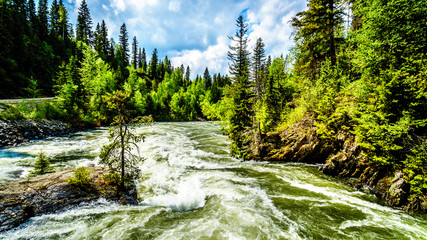 Obraz premium Massive water flow during the spring runoff in the Murtle River, due to melting of the deep snow pack in the Cariboo Mountains of Wells Gray Provincial Park, British Columbia, Canada