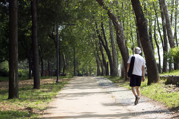 A walk in a beautiful park, a man's back view