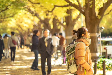  Autumn color at Jingu at Gaien Ginkgo Avenue a traveler girl sightseeing in there.