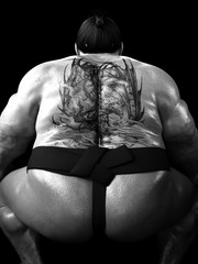 3D illustration Japanese sumo - obrazy, fototapety, plakaty