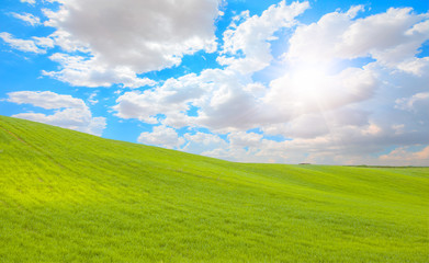 Green grass field and bright blue sky