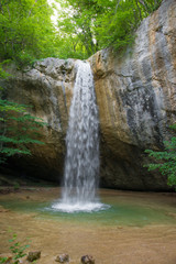 Mountain waterfall vertical in the spring forest © Irina Sokolovskaya